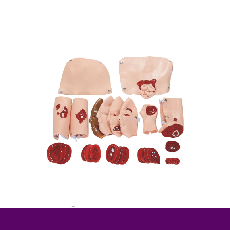 Rh-G110-34 Hospital Wound Assessment Module