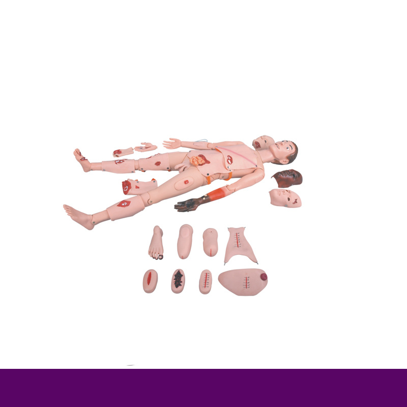 Rh-G111 Hospital Trauma Nursing Manikin