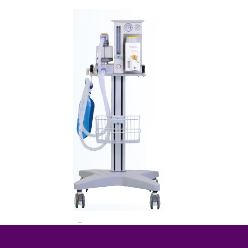 Animal Anesthesia Machine to Hospital Equipment