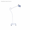 Rh-Bl101 Mobile Hospital LED Examination Light